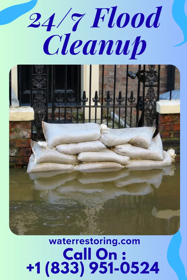 24/7 Flood Cleanup in Silver Lake, MN