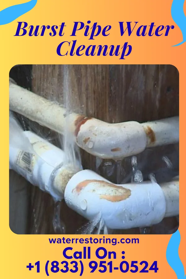 Burst Pipe Water Cleanup in Silver Lake, MN