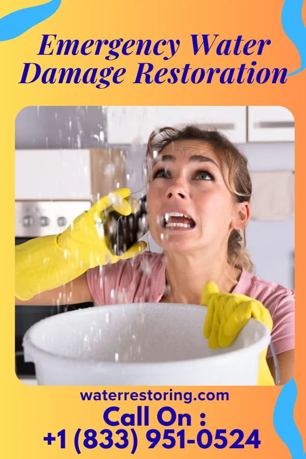 Emergency Water Damage Restoration in Silver Lake, MN
