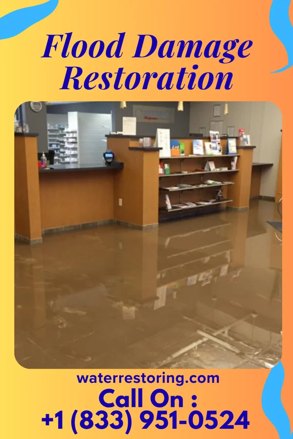 Flood Damage Restoration in Silver Lake, MN