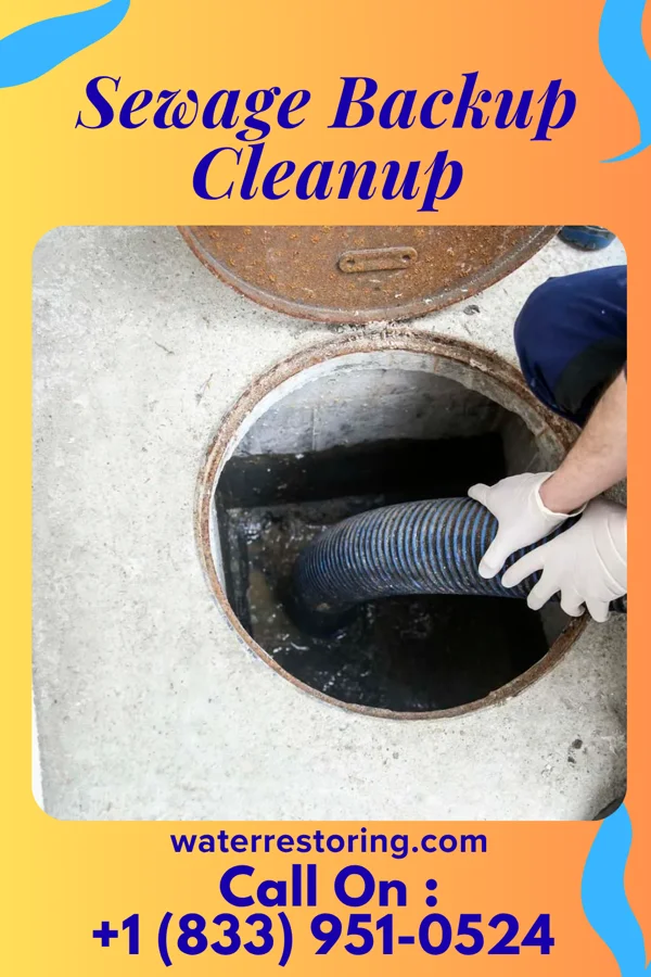 Sewage Backup Cleanup in Silver Lake, MN