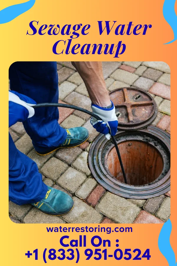 Sewage Water Cleanup in Silver Lake, MN