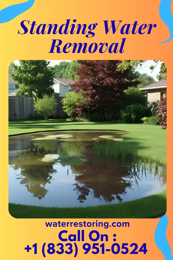 Standing Water Removal in Silver Lake, MN